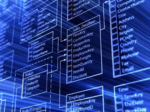 Database Management System